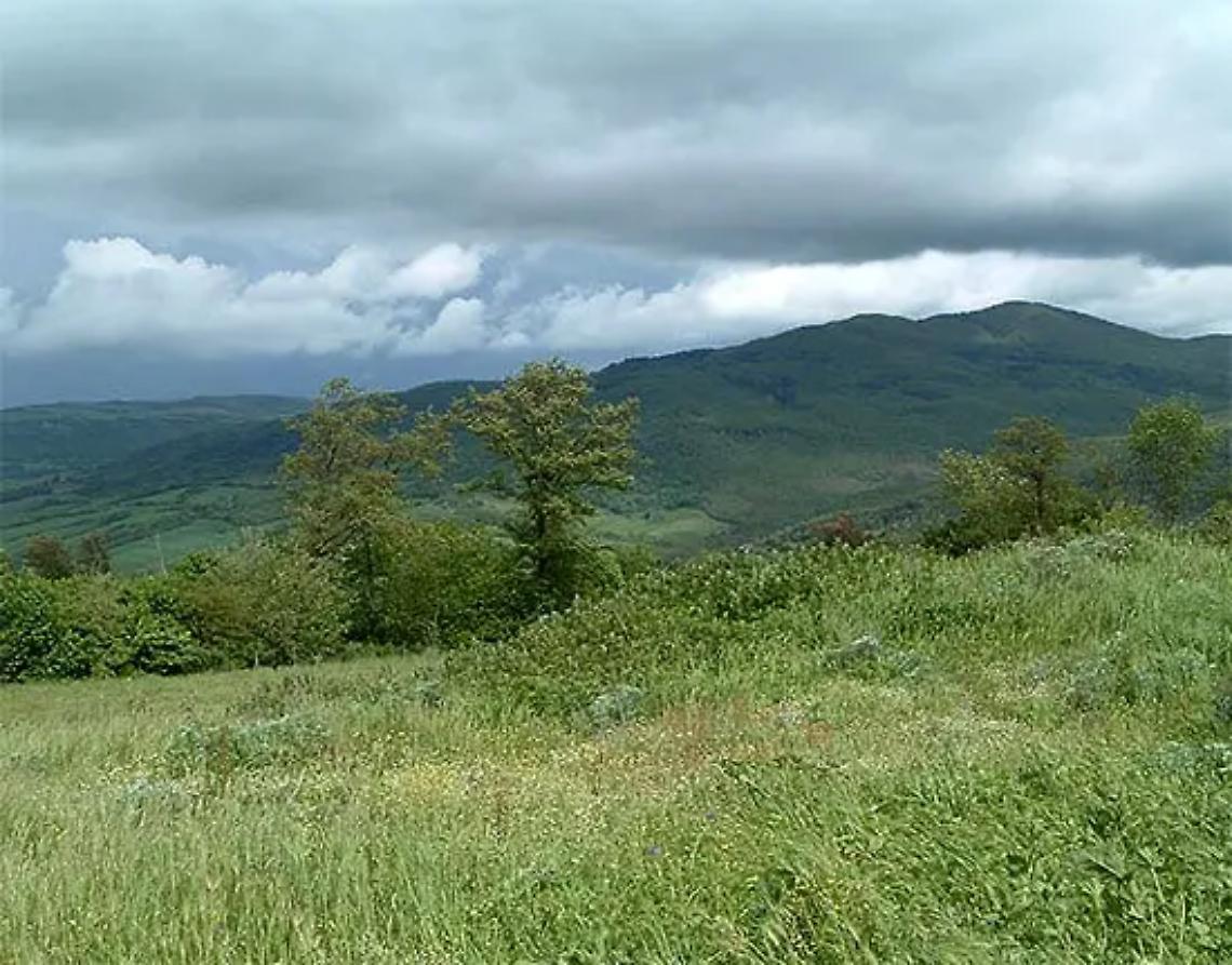 Escursione alla riserva naturale Monte Rufeno