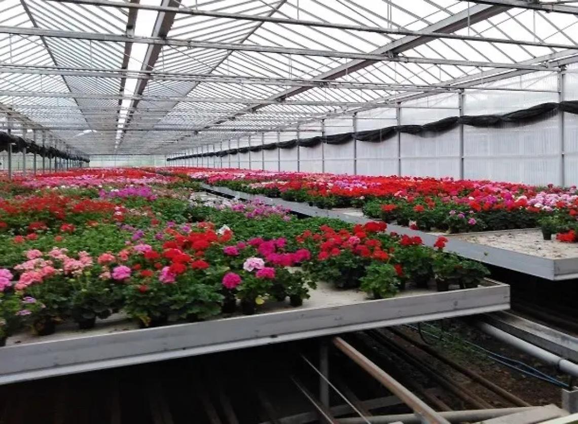 Albani e Ruggieri: &laquo;A rischio 150 posti di lavoro, la geotermia &egrave; la soluzione&raquo;