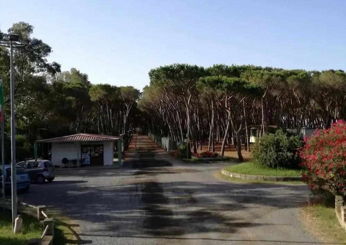 &laquo;Campeggio della Frasca, vittoria attesa da dieci anni&raquo;