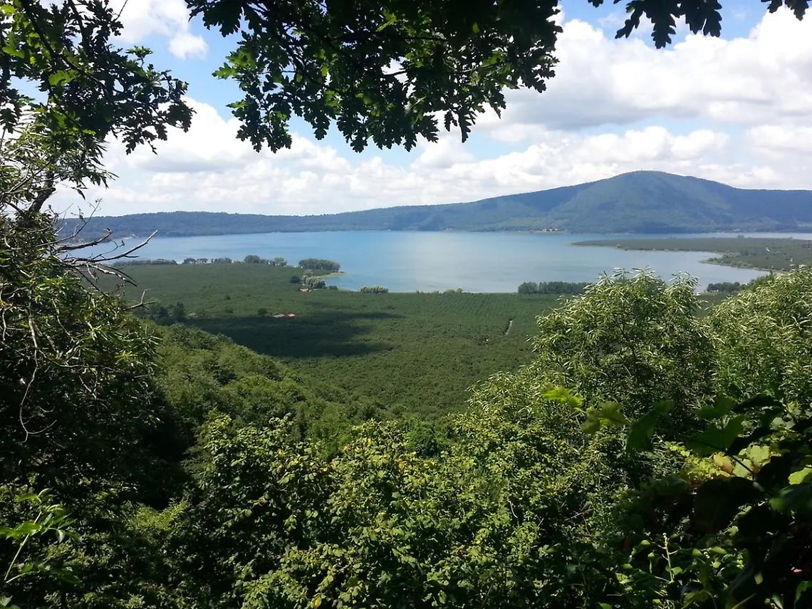Fare Verde in visita alla Riserva naturale del Lago di Vico