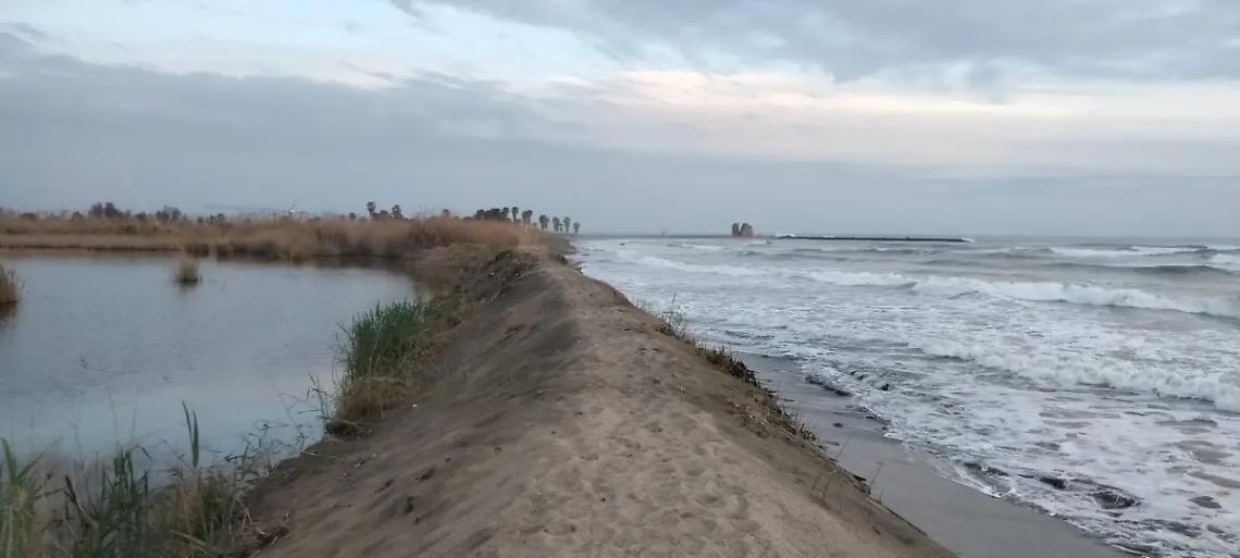 &laquo;La palude rischia di sparire&raquo;