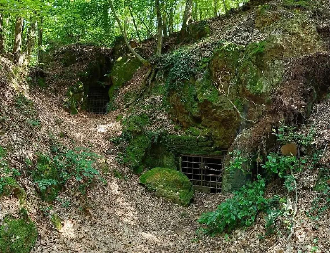 Anche il gruppo Gem a &ldquo;Sentieri fioriti&rdquo;