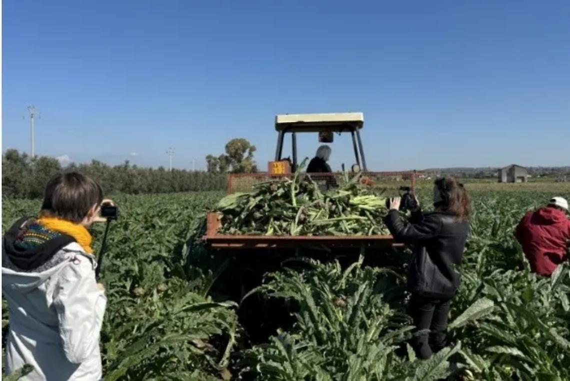 I francesi alla scoperta del carciofo e della tradizionale Sagra di Ladispoli