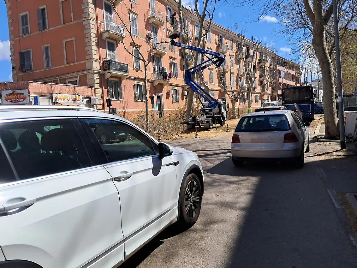 Viale Baccelli, bene le potature ma occhio alla viabilit&agrave;