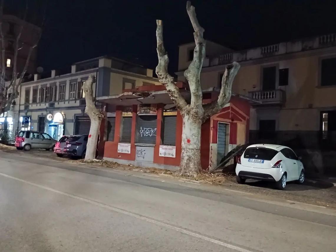 Potature a viale Baccelli, le rassicurazioni da Palazzo del Pincio