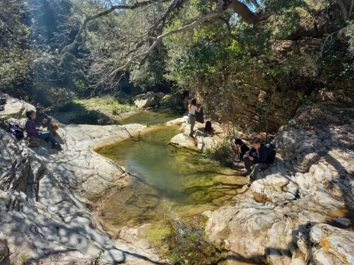 Trekking sui monti della Tolfa