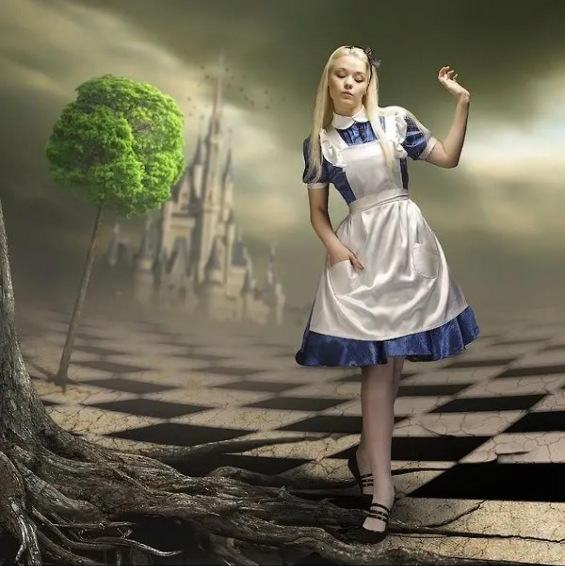 Tarquinia Paese delle meraviglie: svelato il programma