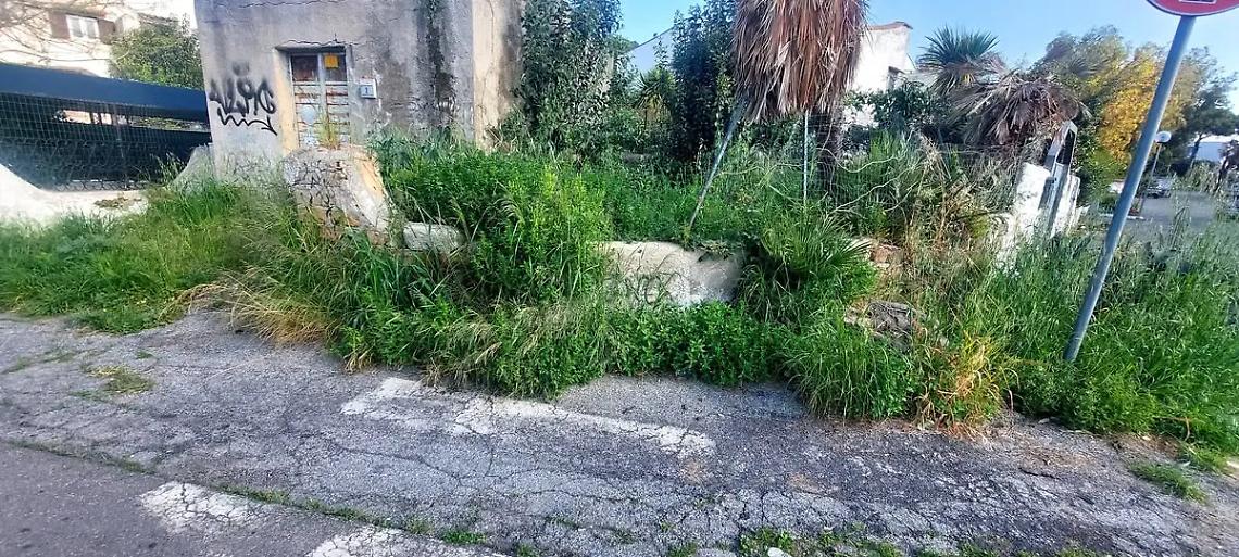 Erbacce, buche e giardini malandati