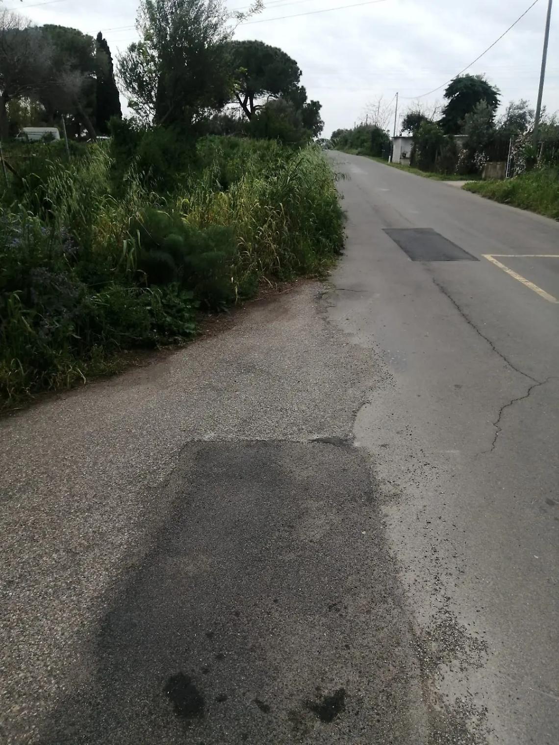 Erba alta e visibilit&agrave; ridotta