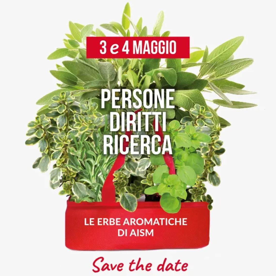 Cerveteri in campo per la Sclerosi Multipla: tornano le Erbe Aromatiche di AISM