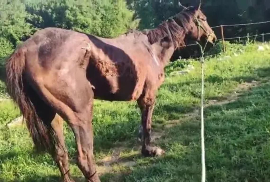 &laquo;Alba radiosa ha superato la nottata&raquo;