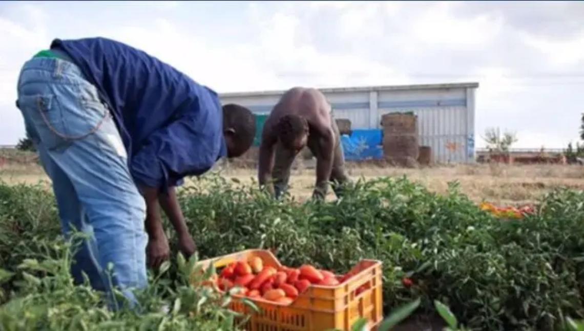 Immigrazione, il comitato no Fer: &laquo;L&rsquo;incontro in un momento sbagliato&raquo;