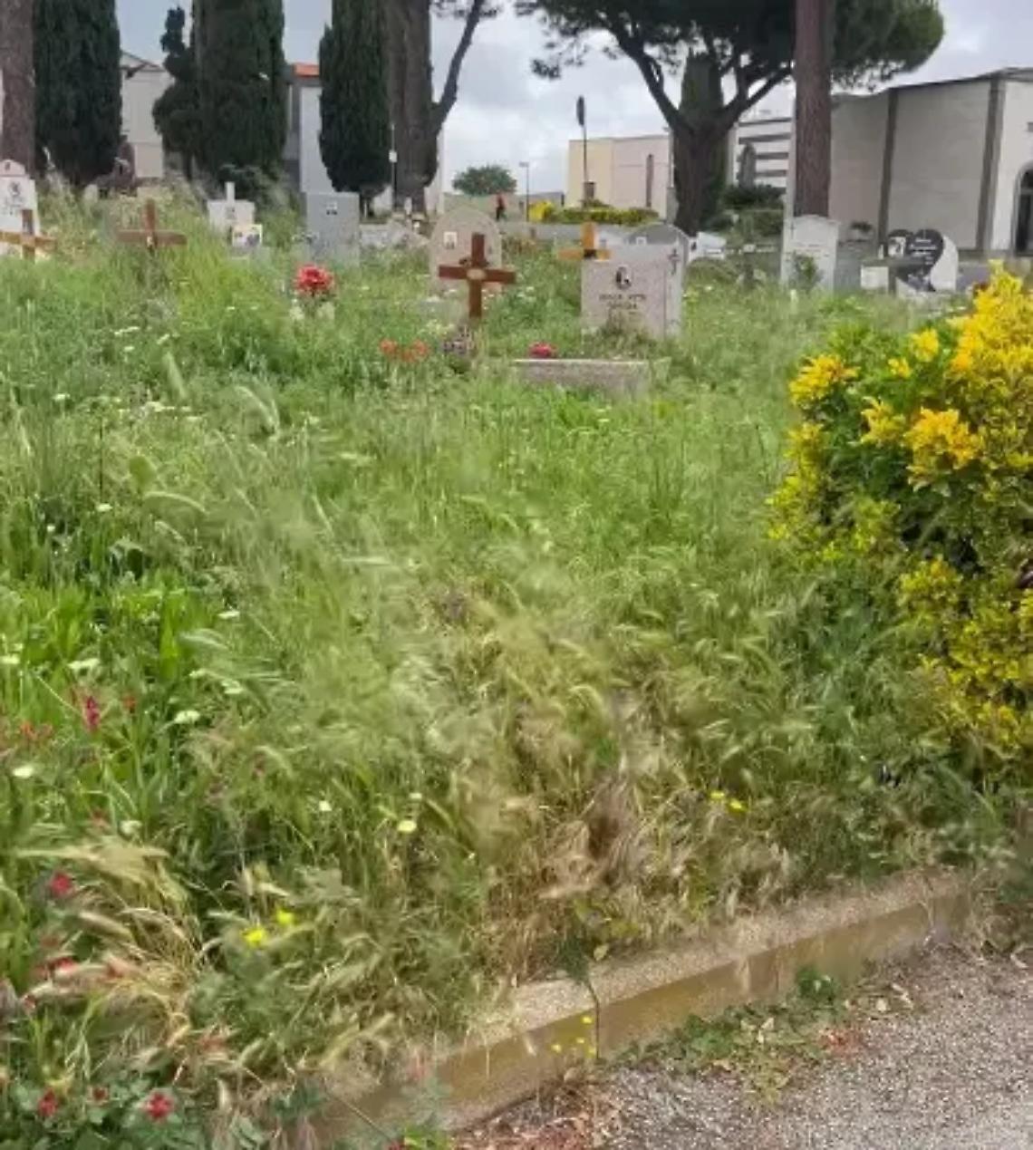 Cimitero nuovo, allarme degrado
