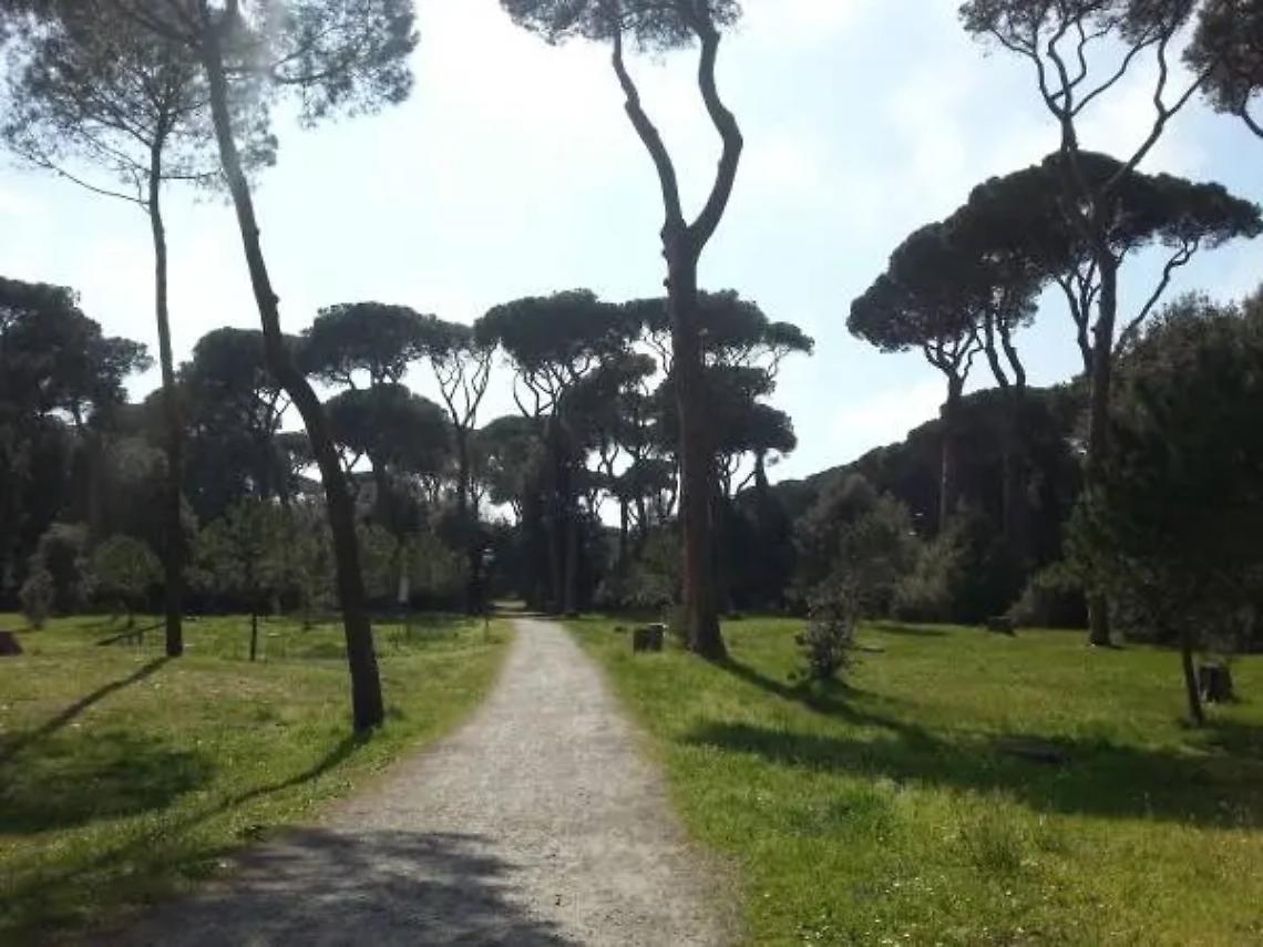 Pineta di Fregene, 121 alberi a rischio crollo: scatta il divieto di accesso nell&rsquo;area &ldquo;A&rdquo;
