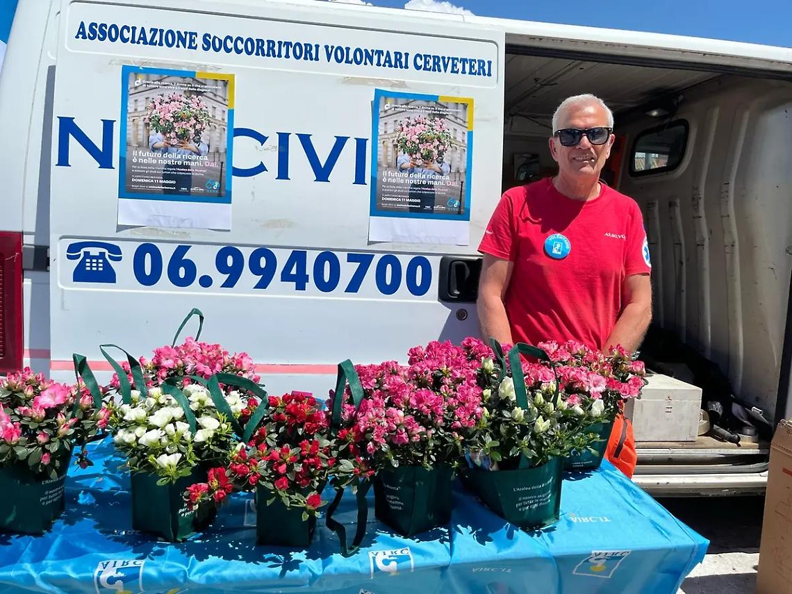 Per la festa della Mamma tornano le Azalee Airc