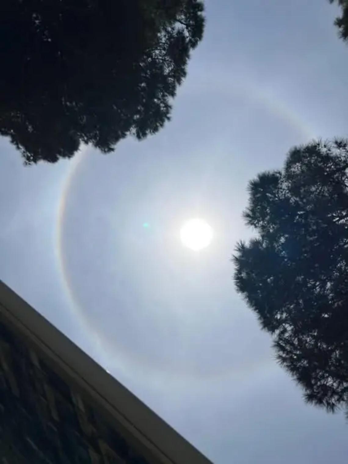 Alone solare in cielo: alle Saline di Tarquinia tutti col naso all&rsquo;ins&ugrave;