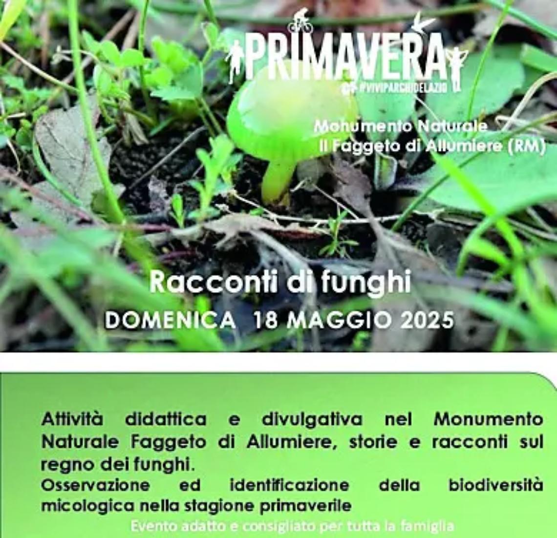 Oggi ad Allumiere &ldquo;Racconti di funghi&rdquo;