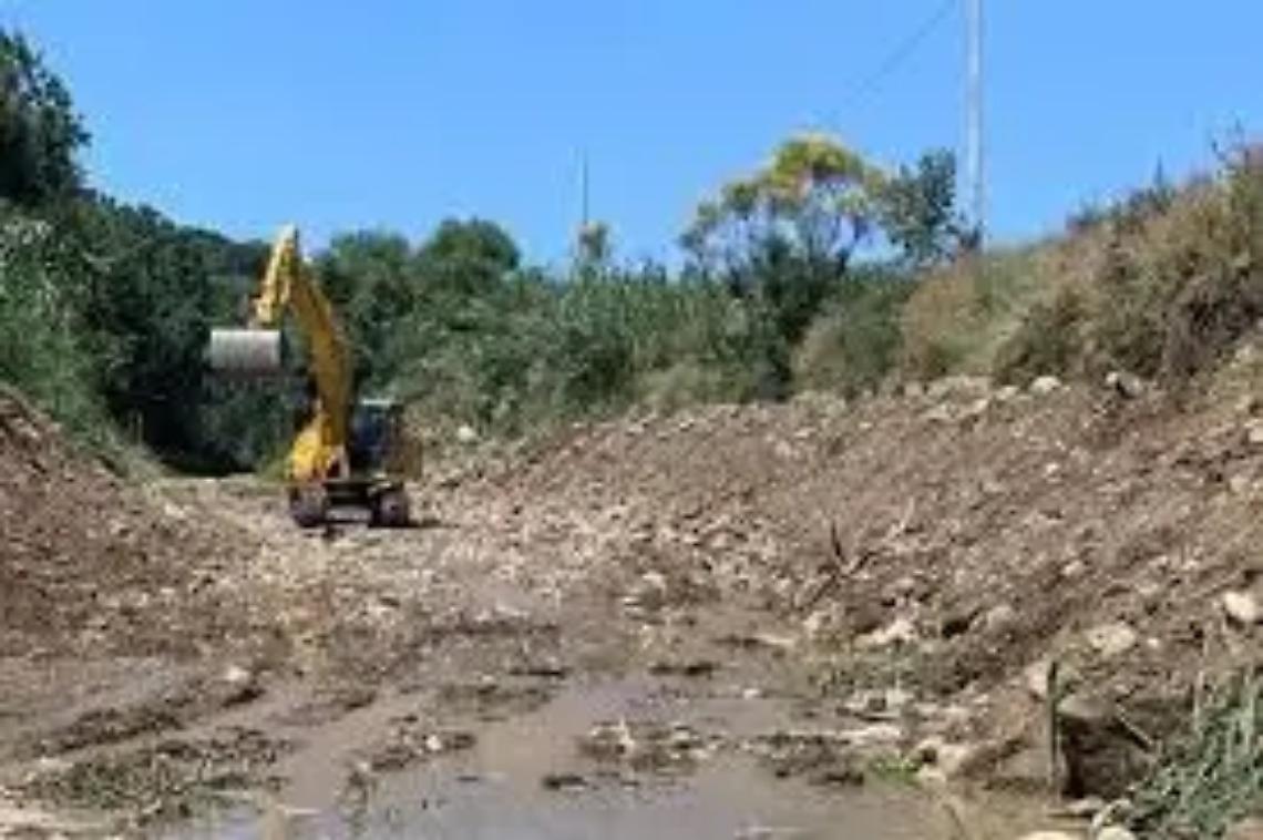 &laquo;A rischio l&rsquo;habitat degli aironi guardabuoi, si sospendano i lavori&raquo;