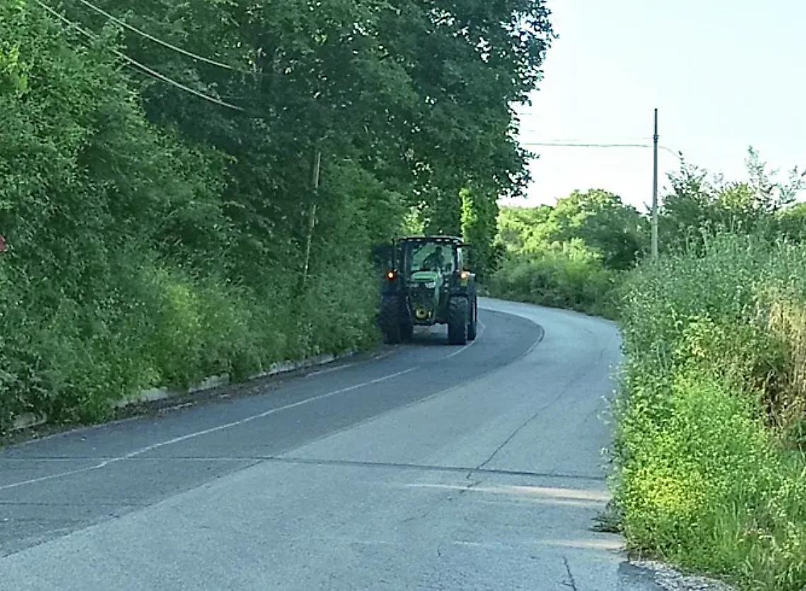 Erbacce e buche, cos&igrave; si rischia la vita