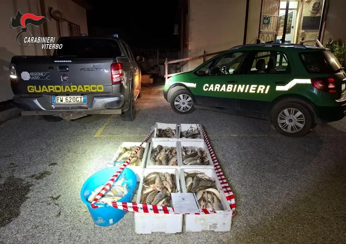 Lago di Vico: scoperti due pescatori di frodo