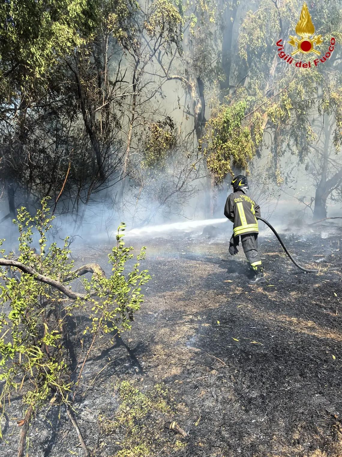 Parte la stagione degli incendi: Vigili del Fuoco in azione su due fronti