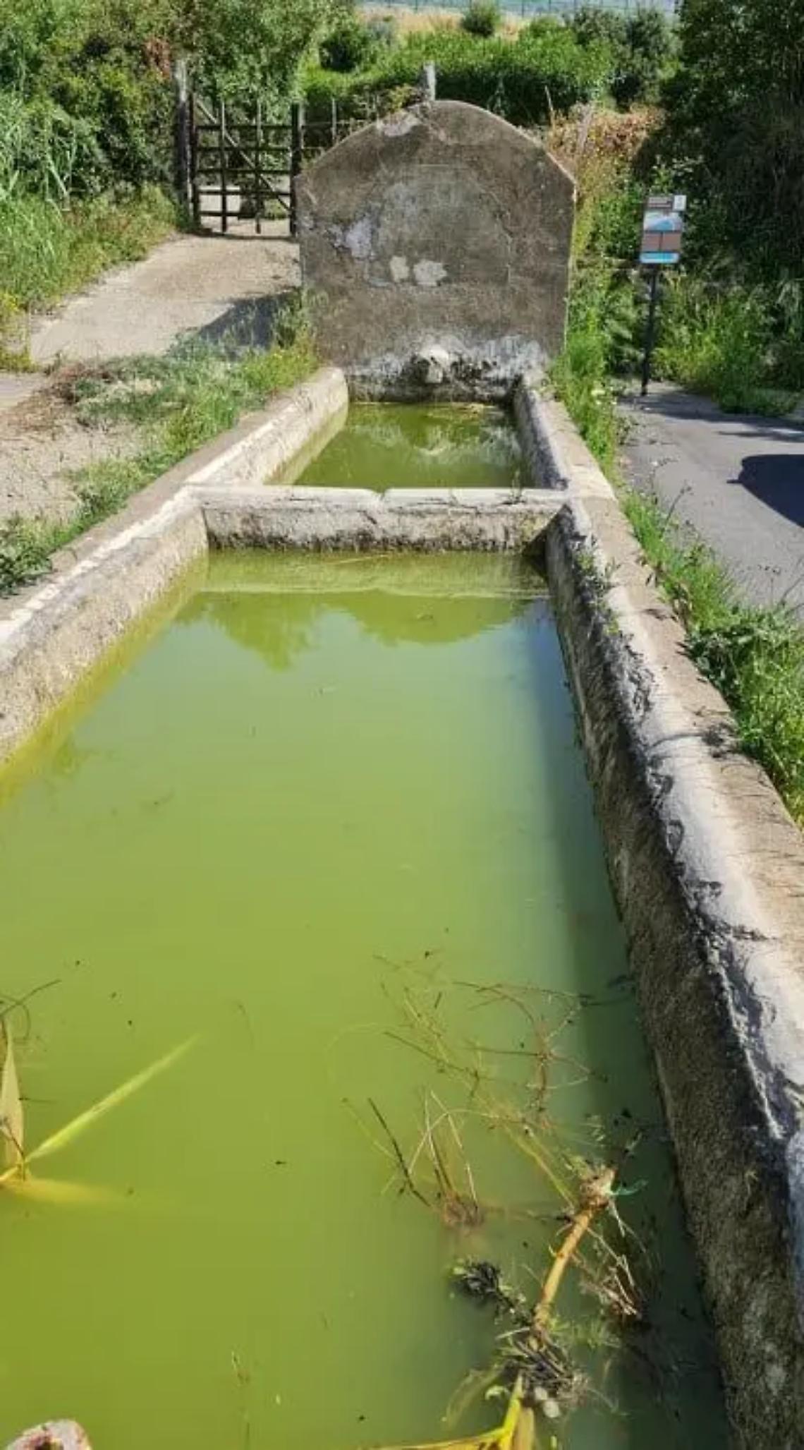 Fontanile della Quartaccia, il sindaco rassicura