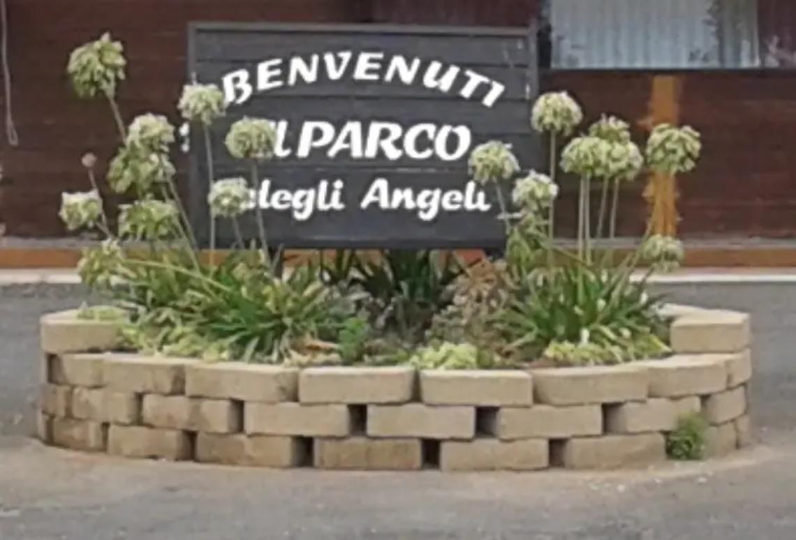 Al parco degli Angeli &ldquo;Friendly Reality&rdquo;