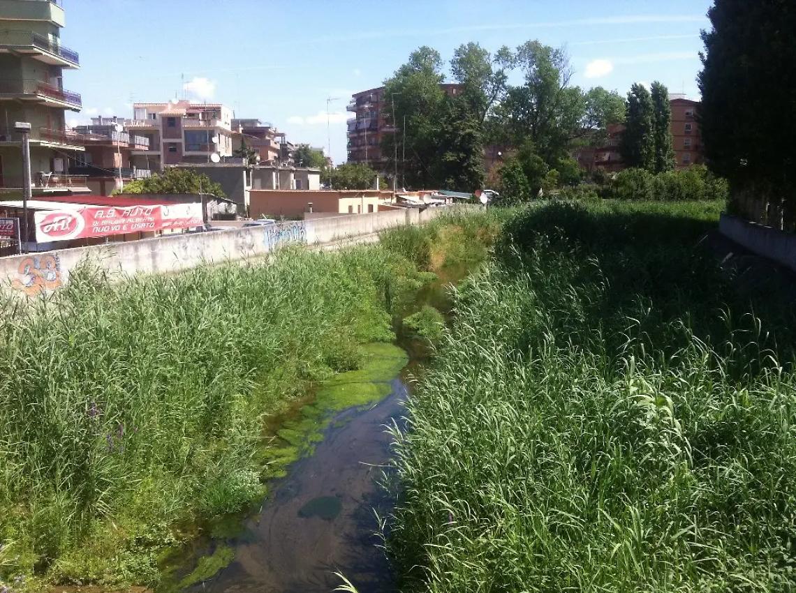 Liquami nel fosso, blitz della Capitaneria a Ladispoli