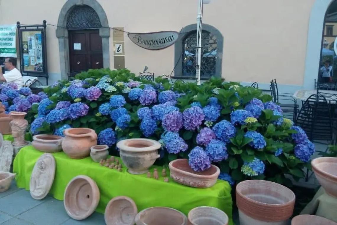 I finanzieri alla festa delle ortensie