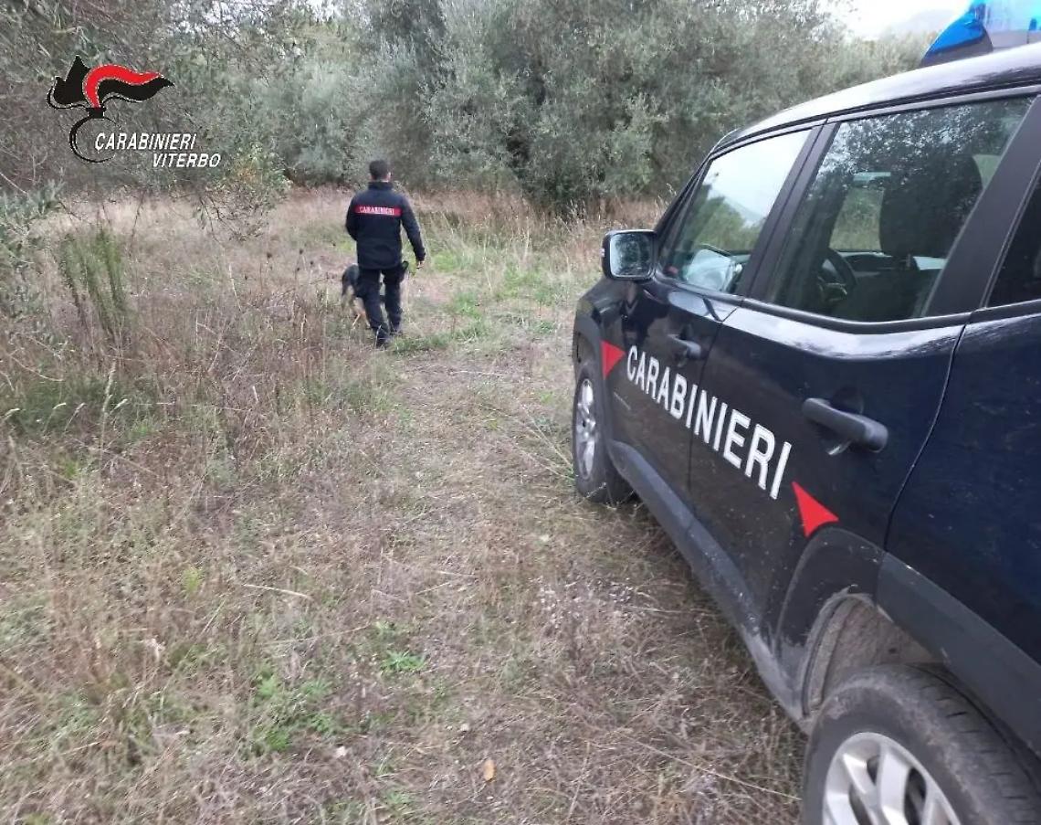 Spaccio di droga nei boschi: sette arresti e sei fogli di via