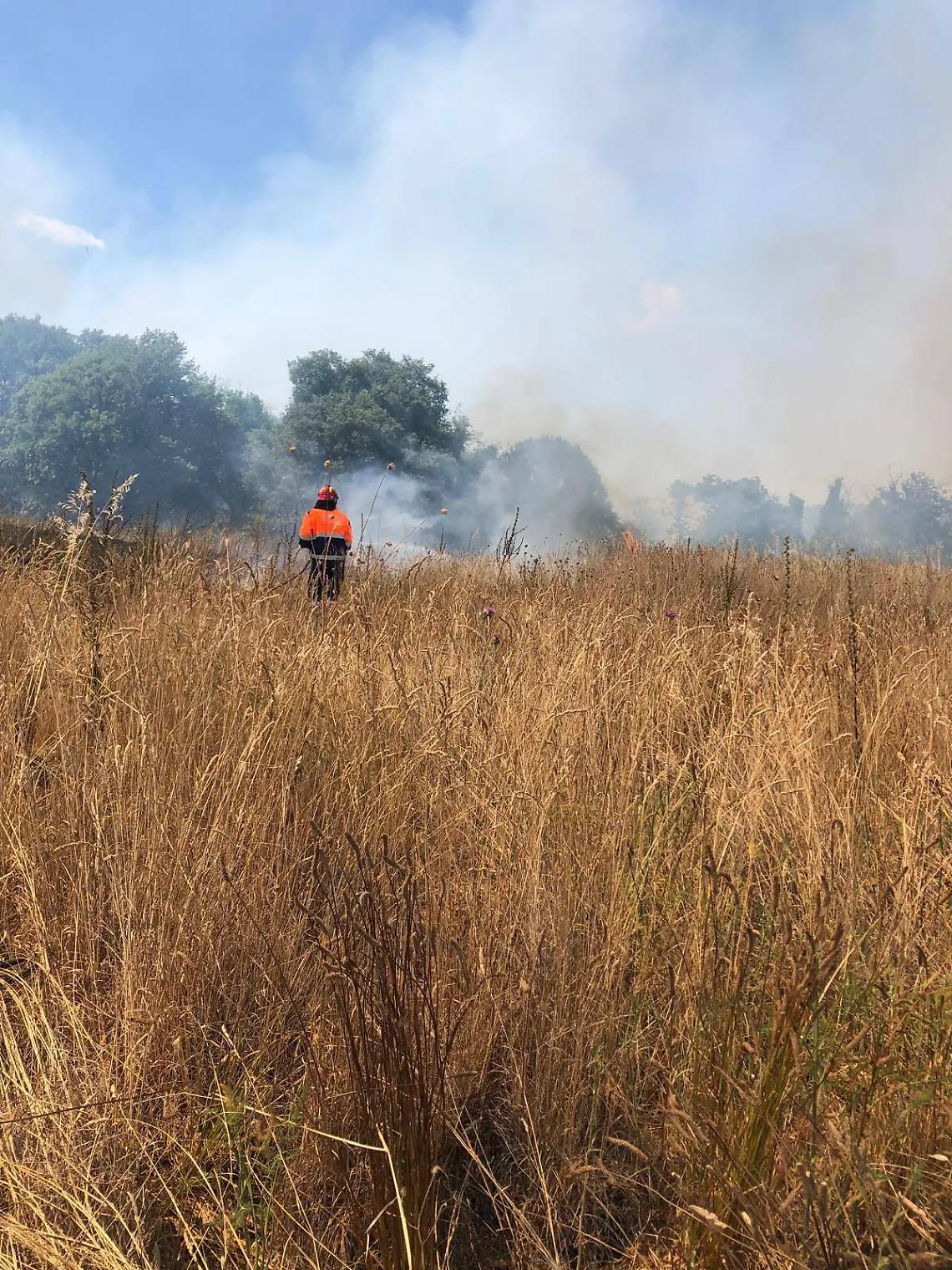 Vasto incendio in zona collinare a Monterosi