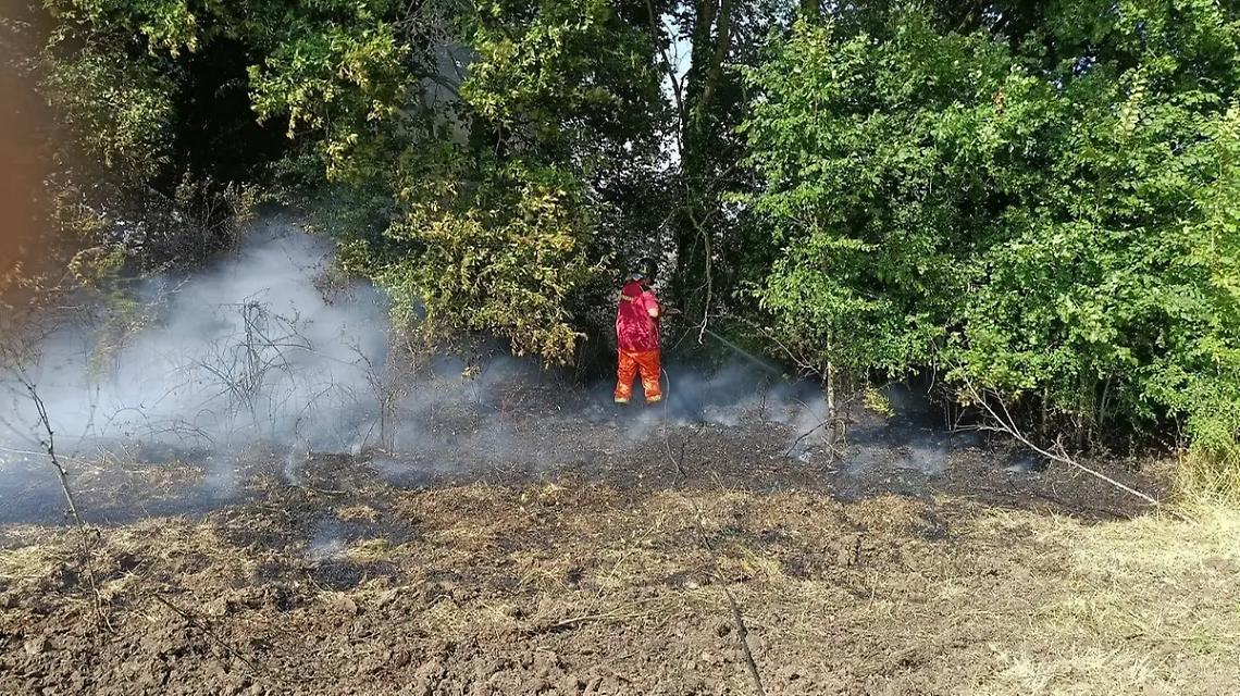 Incendio a Valcanneto: Cerveteri brucia sempre di domenica