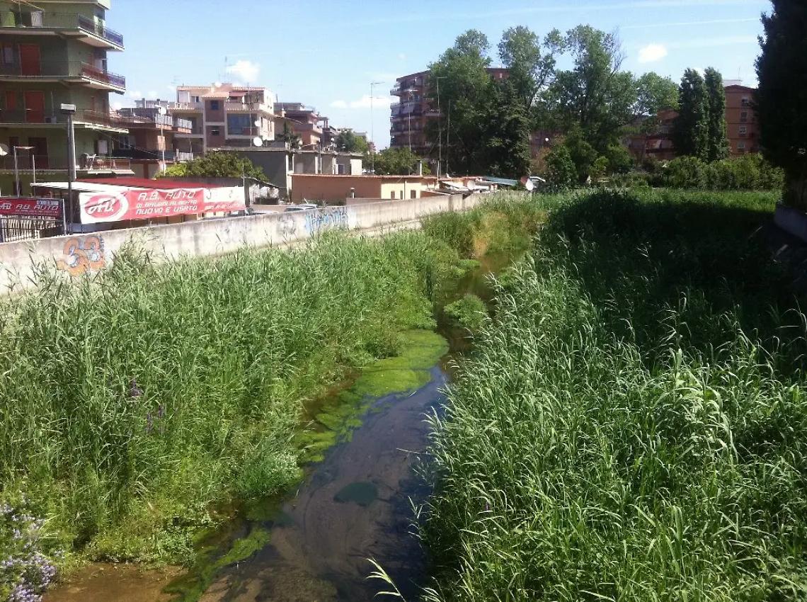 Canne e rifiuti sugli argini del fosso, parte la bonifica del Sanguinara