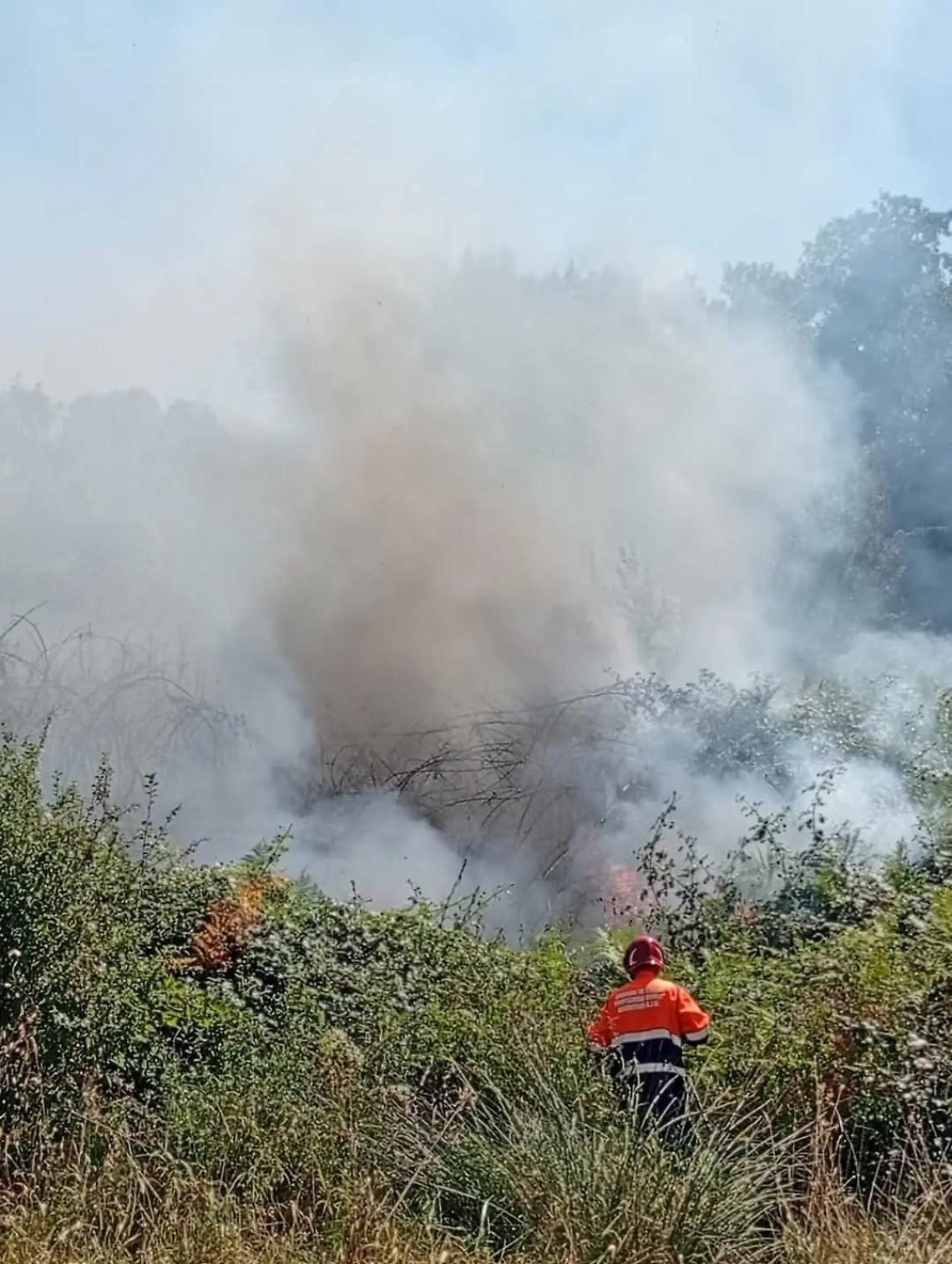 Incendio tra Tarquinia, Allumiere e Tolfa: in azione vigili del fuoco, volontari e Canadair