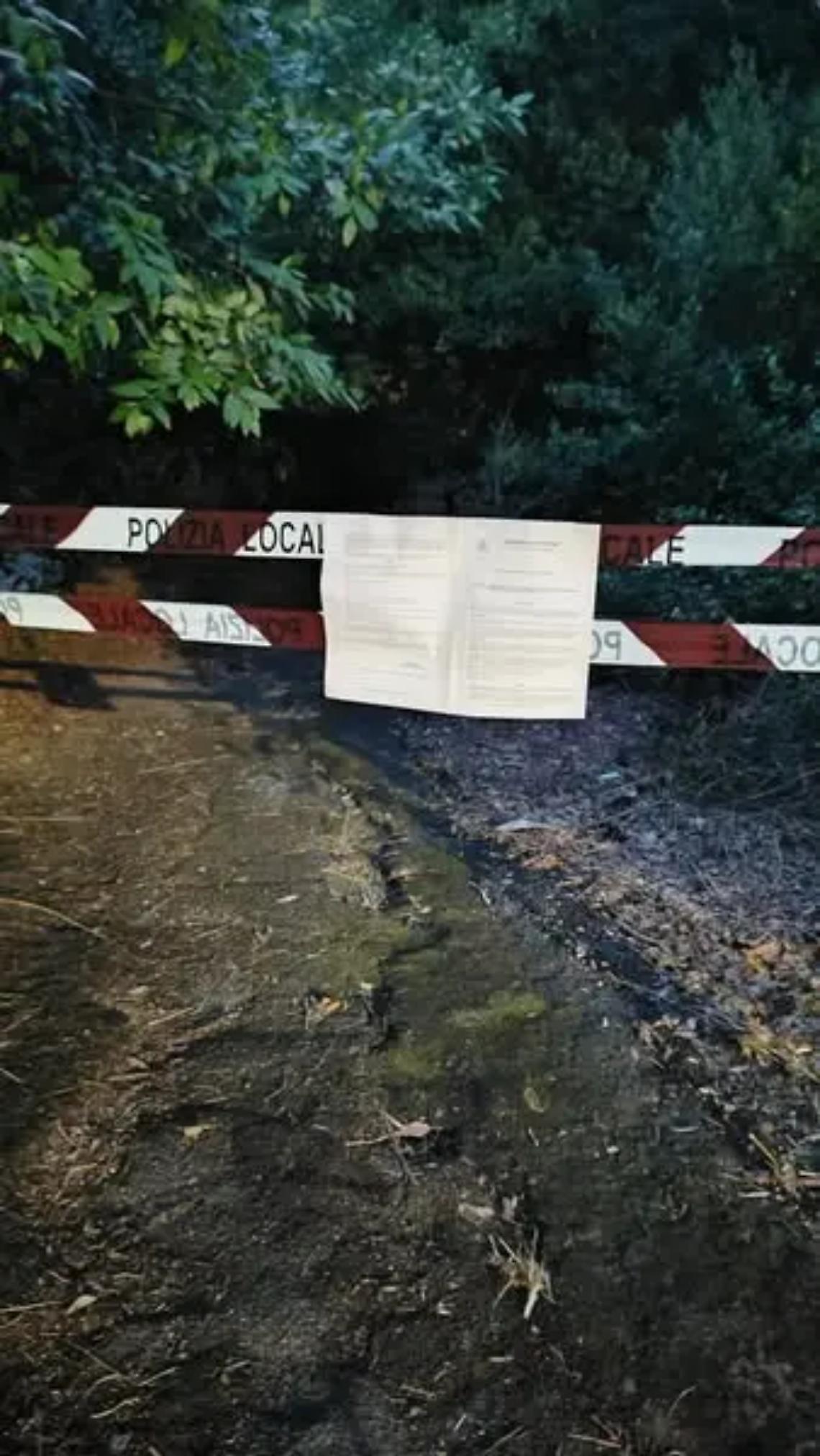 Piante attaccate dai parassiti e a rischio crollo: chiude il bosco di Valcanneto