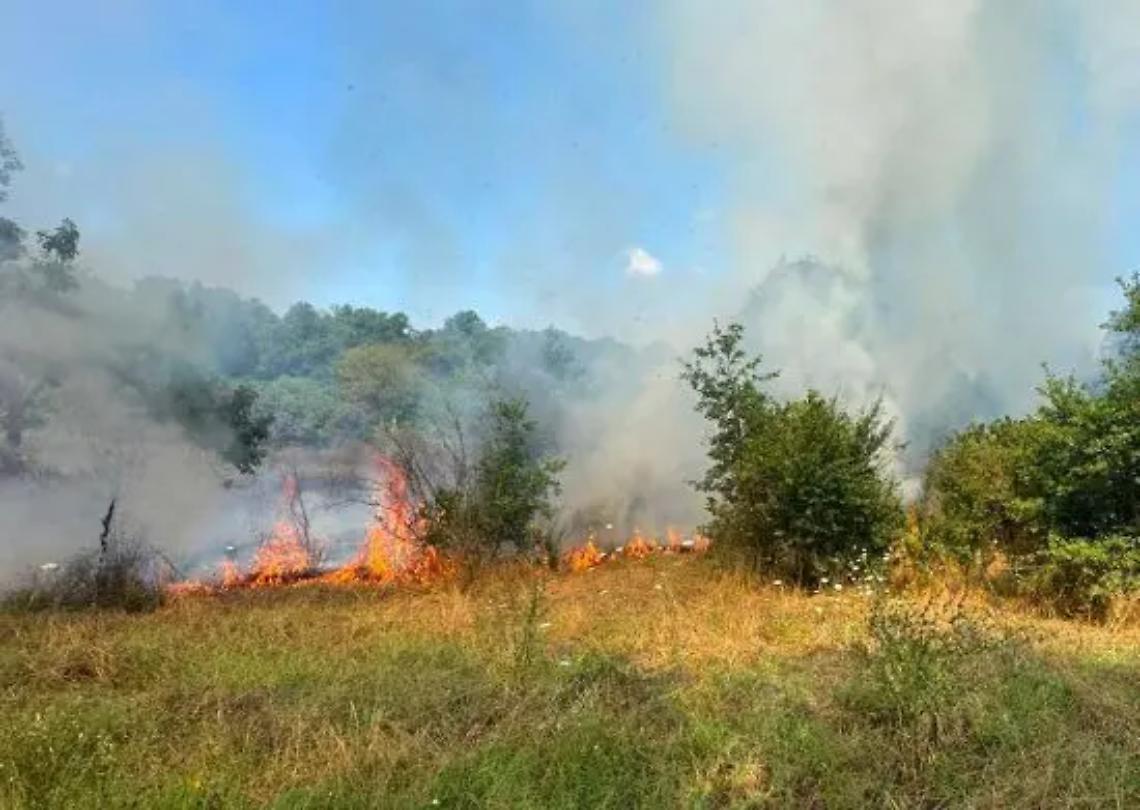 Vasanello: tre ettari di terreno in fumo, le fiamme minacciano le case