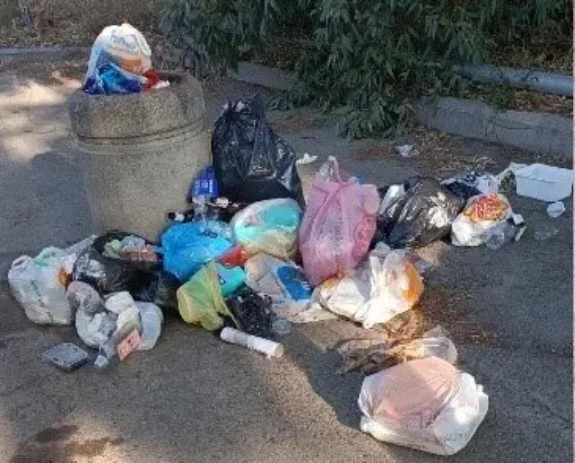Degrado urbano e cestini pieni: l&rsquo;allarme di Csp