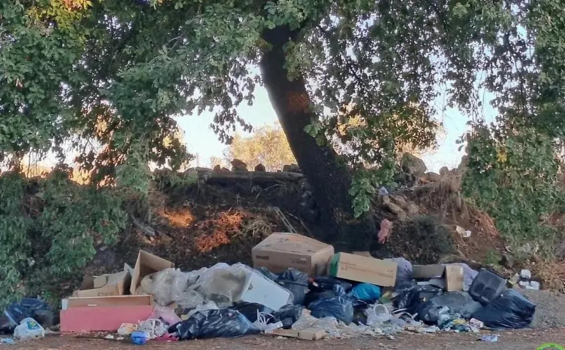 Non c&rsquo;&egrave; pace per la Settevene Palo, nuove discariche nell&rsquo;area ripulita