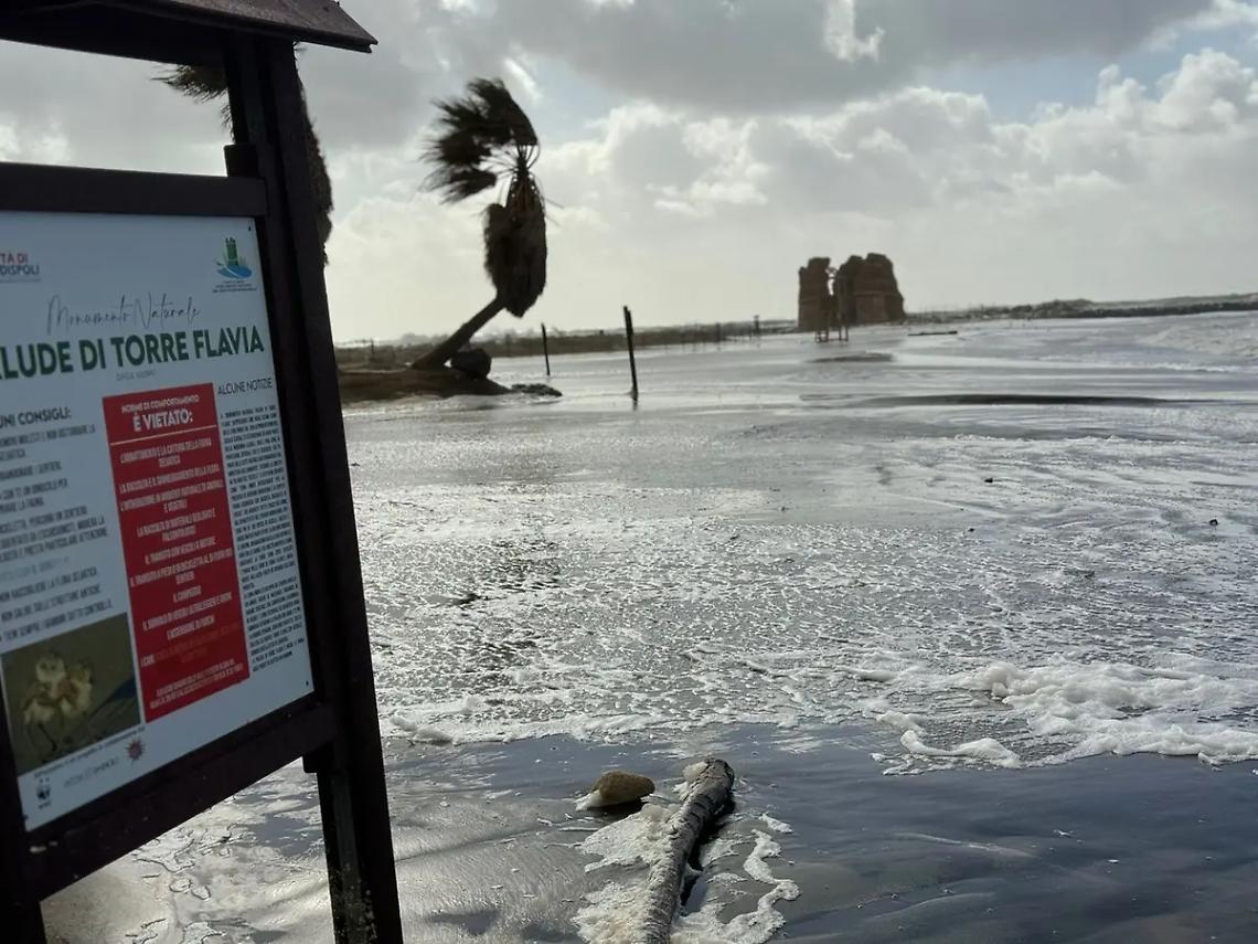 L&rsquo;erosione minaccia sempre pi&ugrave; le aree naturali sulla costa, da Palo a Torre Flavia &egrave; corsa contro il tempo per salvarle