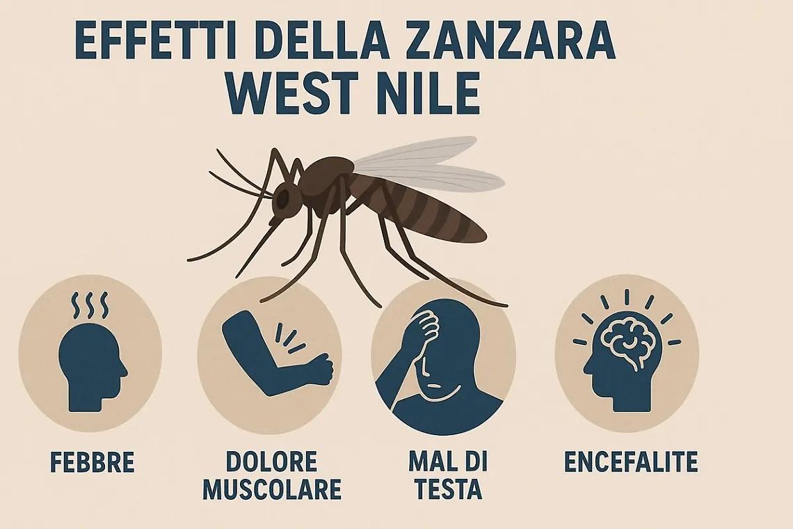 Virus West Nile, due nuovi casi con un decesso nel Lazio