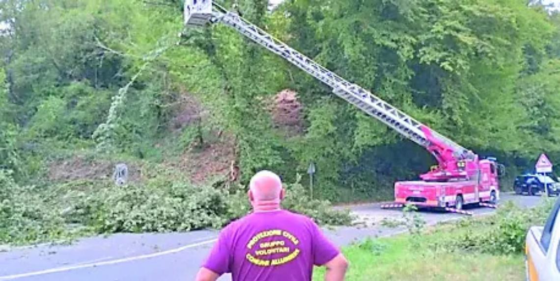 Crolla albero ad Allumiere: pronto intervento della Prociv e dei Vigili del fuoco