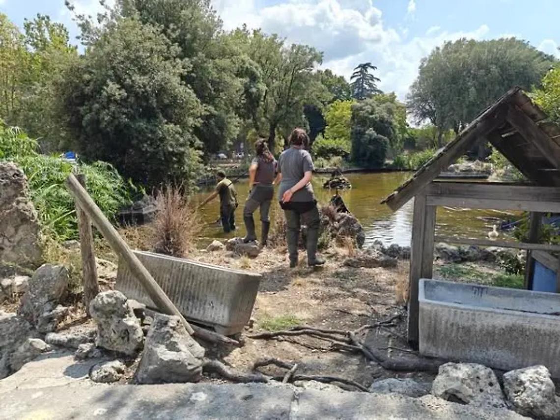 Viterbo: Prato Giardino, al via lo svuotamento della vasca grande