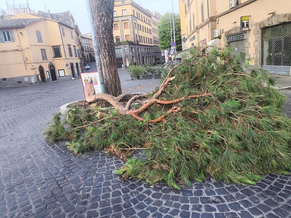 Viterbo: violento nubifragio nella notte, allagamenti e alberi caduti