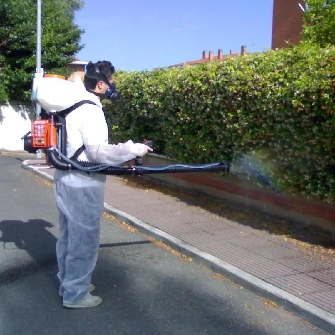 Disinfestazione, doppio intervento