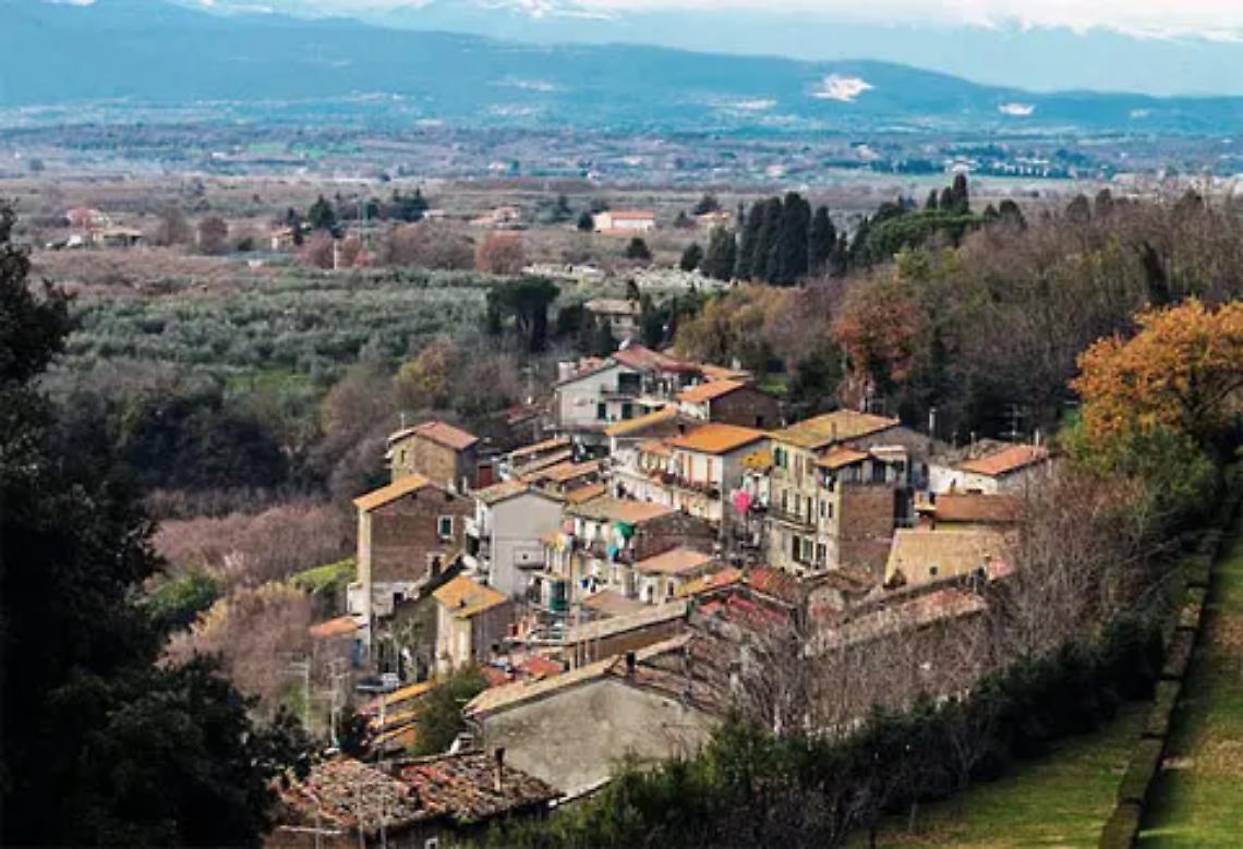 &laquo;Gatta uccisa a colpi di pistola a Vignanello&raquo;