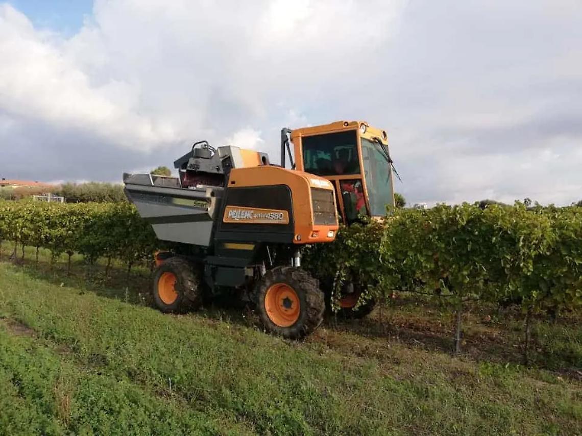 Vino, qualit&agrave; buona ma l&rsquo;etruria perde produttori