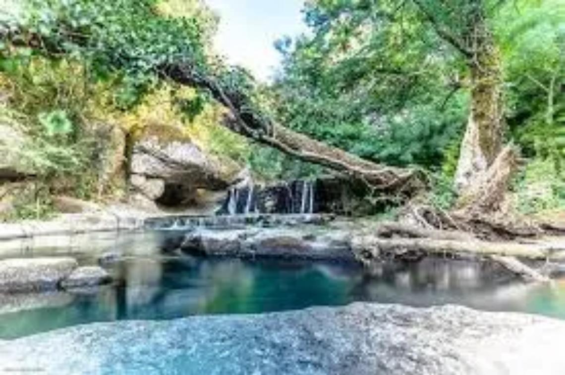 Nasce &ldquo;Patrimoni condivisi&rdquo;