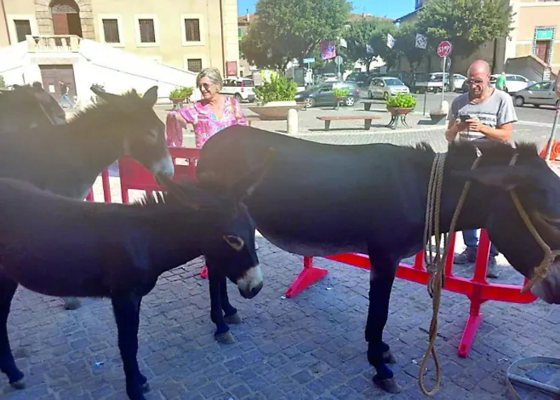 Allumiere festeggia il successo della &ldquo;Fiera Asinina e del Festival del Folklore 2025&rdquo;