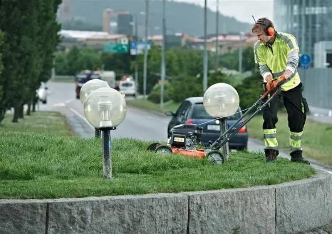 &laquo;Si modifichi il regolamento comunale relativo alla funzione per il controllo analogo della multiservizi&raquo;