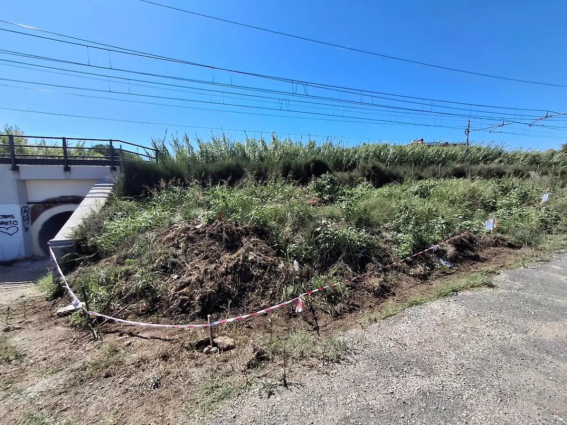 Cosa non torna nel caso di Elena Vergari